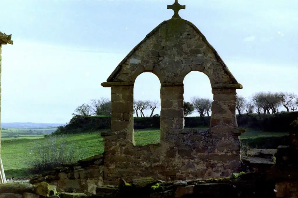 Als plans de Conill, salvem la “Limonium catalaunicum”.