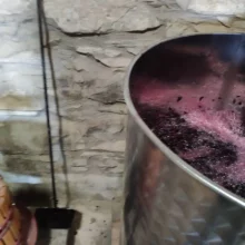 Vi elaborat a la Torre del Codina