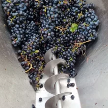 Vi elaborat a la Torre del Codina