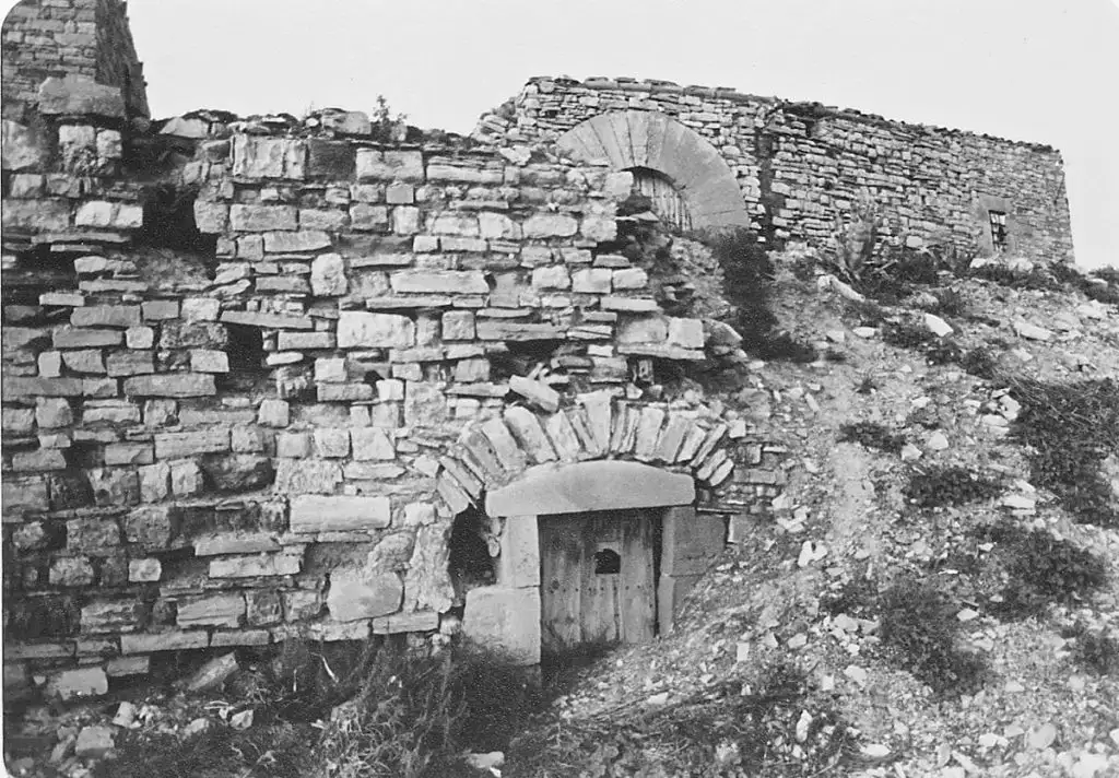 Restes del castell Templer de Granyena de Segarra.