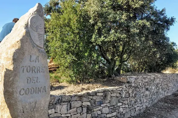 La-Torre-del-Codina