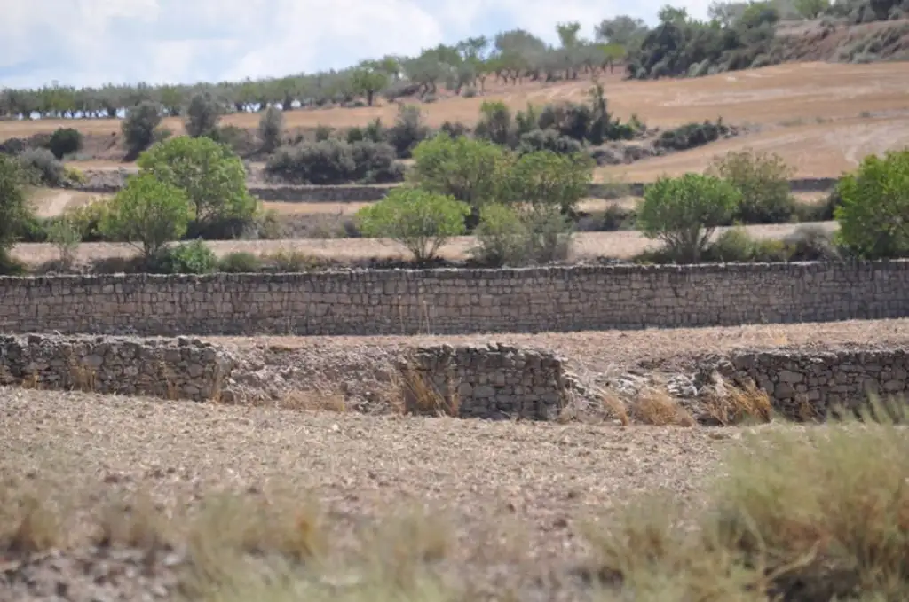 Marges caiguts al terme del Talladell.